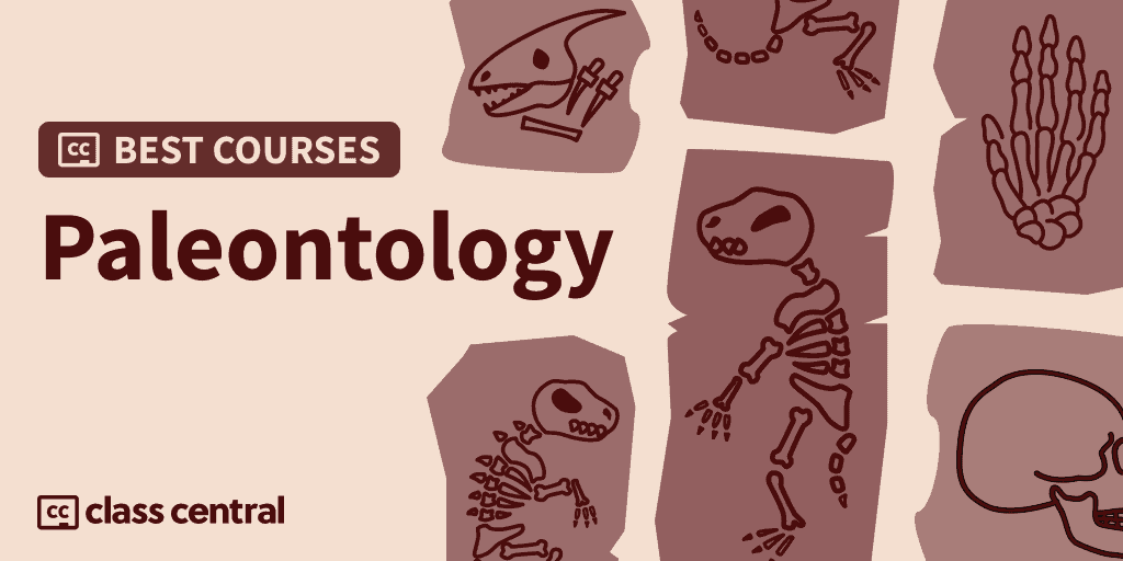 10 Best Paleontology Courses for 2024: More Than Dinosaurs — Class Central